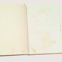 The Mansion Henry Van Dyke Hardcover Book 