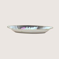 1920s Suhl Germany Floral Porcelain Celery Tray