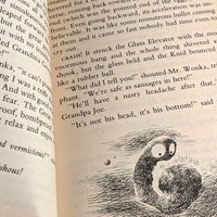 1970s Charlie and the Great Glass Elevator Roald Dahl Paperback Book