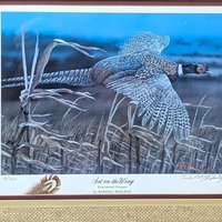 Vintage Randall Raduenz Set on the Wing Signed Numbered Pheasant Print