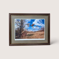 Framed wildlife print of ringneck pheasants flying over a golden autumn field beneath a blue cloudy sky.