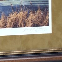 2003 David A Maass Autumn at Baker Trumpeter Swans Framed Wildlife Print