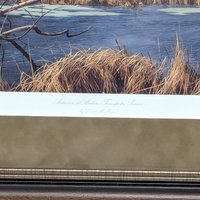 2003 David A Maass Autumn at Baker Trumpeter Swans Framed Wildlife Print