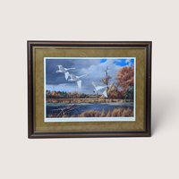 Framed wildlife print of three white trumpeter swans flying low over a wetland lake with autumn trees.