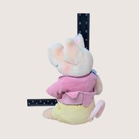 Vintage Beatrix Potter Eden Frederick Warne Plush Set