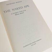 1967 The Naked Ape Desmond Morris Hardcover Book Dust Jacket