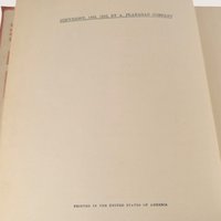1922 Bunny Boy and Grizzly Bear Laura Rountree Smith Hardcover Book