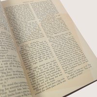 1953 The Viking Press The Short Novels of John Steinbeck Hardcover Book