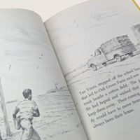 1967 The Goose That Was a Watchdog Wilma Pitchford Hays Hardcover Book