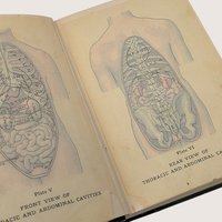 1907 The Home Medical Library by Kenelm Winslow