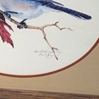 Vintage Blue Jay Wildlife Art Print Signed Becky Kruger Cyr