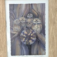 Vintage Little Owl Medicine Jody Bergsma Framed Art Print