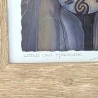Vintage Little Owl Medicine Jody Bergsma Framed Art Print