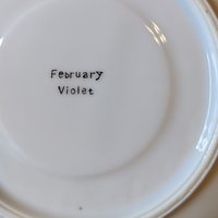 Vintage Bone China February Violet Tea Cup and Saucer