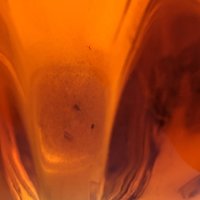 Mid Century Viking 19" 6 Petal Persimmon Orange Swung Glass Vase