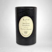 The Miniature Symphony Cat's Pyjama Margaret Figurine Trinket Box