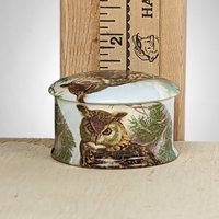 Newhall Staffordshire Bone China Owl Trinket Box