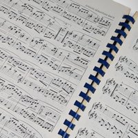 Timeless Melodies: 1971 Bach Greatest Piano Solos by Alexander Shealy Sheet Music Book