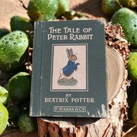 Vintage The Tale of Peter Rabbit - F. Warne & Co.