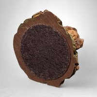 1983 Tom Clark Jennie Gnome: Vintage Pecan Shell Figurine