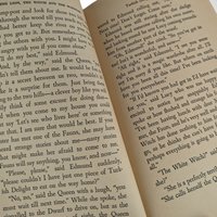 Vintage 1973 The Lion, The Witch and The Wardrobe Paperback by C.S. Lewis, 10th Printing, Good Condition, Collectible