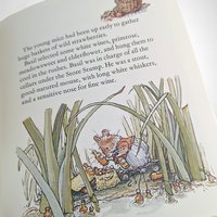 1980 Brambly Hedge Summer Story, Jill Barklem Hardcover Book