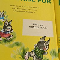 1953 A Surprise for Mrs. Bunny, Charlotte Steiner, Hardcover