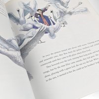 1981 Hans Christian Anderson The Wild Swans Softcover Book