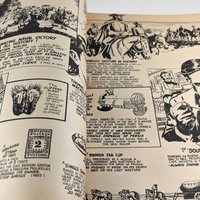 Vintage 1976 Ripley's Believe It Or Not! Giant Softcover Book | Illustrated | Oddities & Wonders |  Lowell Thomas Introduction