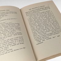 1919 H.G. Wells The Undying Fire, First Edition, Hardcover Book, Antique Book, Science Fiction, Social Commentary