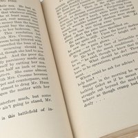 1919 H.G. Wells The Undying Fire, First Edition, Hardcover Book, Antique Book, Science Fiction, Social Commentary