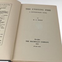 1919 H.G. Wells The Undying Fire, First Edition, Hardcover Book, Antique Book, Science Fiction, Social Commentary