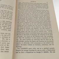1922 Babbitt by Sinclair Lewis | First Edition | Hardcover Book | Antique Literature | Illustrated | Classic American Novel