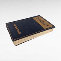 1922 Babbitt by Sinclair Lewis | First Edition | Hardcover Book | Antique Literature | Illustrated | Classic American Novel