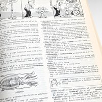 1999 Merriam-Webster Garfield Dictionary, Softcover, Children's Dictionary, Educational Book, Fun with Language, Gift for Students