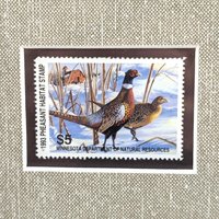 1993 Minnesota Pheasant Habitat Stamp Print, Framed & Signed Bruce Miller, Limited Edition #1835/2500
