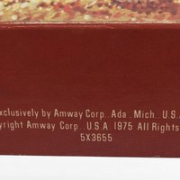 Vintage 1975 Sly Strategy Game by Amway | Complete with All Pieces and Instructions | Unique Family Game