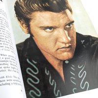 1982 The Definitive Elvis Biography, "The Boy Who Dared to Rock" by Paul Lichter, Music History Book, Rock and Roll Collectible