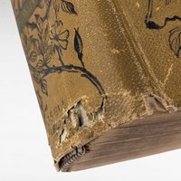 1891 Little Daughters Pleasure Book, Antique Children's Literature, Mary D. Brine, Illustrated Stories, Gift for Collector