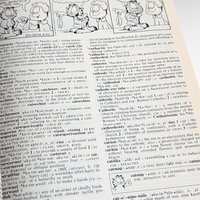 1999 Merriam-Webster Garfield Dictionary, Softcover, Children's Dictionary, Educational Book, Fun with Language, Gift for Students