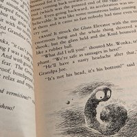 1972 Charlie and the Great Glass Elevator, Roald Dahl, Vintage Softcover, Illustrated by Joseph Schindelman, Children's Literature