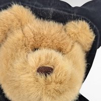 Vintage Halloween Bear Pair: Fiesta Vampire Bear & GAC Black Cat Teddy, Collectible Halloween Plush, Halloween Decor, Halloween Collector