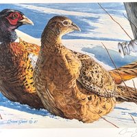1987 Minnesota Pheasant Habitat Stamp Print, Framed & Signed Brian Jarvi, Limited Edition #1835/3500