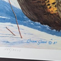 1987 Minnesota Pheasant Habitat Stamp Print, Framed & Signed Brian Jarvi, Limited Edition #1835/3500