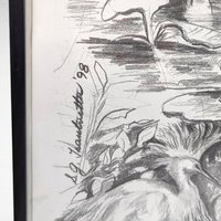 1998 Detailed Nature Drawing Print, Black Metal Frame, Vintage Wildlife Art, Gift for Nature Lover, Home Decor
