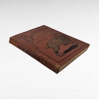 1902 Billy Whiskers Autobiography of a Goat, Frances Trego Montgomery, Antique Children's Book, Antique Animal Story, Fair Condition