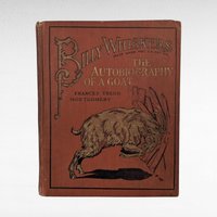 1902 Billy Whiskers Autobiography of a Goat, Frances Trego Montgomery, Antique Children's Book, Antique Animal Story, Fair Condition
