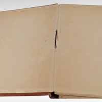 1902 Billy Whiskers Autobiography of a Goat, Frances Trego Montgomery, Antique Children's Book, Antique Animal Story, Fair Condition