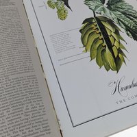 1977 World Guide to Beer by Michael Jackson, Vintage Beer Book, Craft Beer History, Gift for Beer Lover, Collectible Book