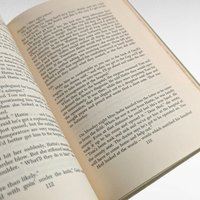 The Enduring Hills by Janice Holt Giles, Vintage Hardcover Book, Appalachian Literature, Gift for Book Lovers, Collectors